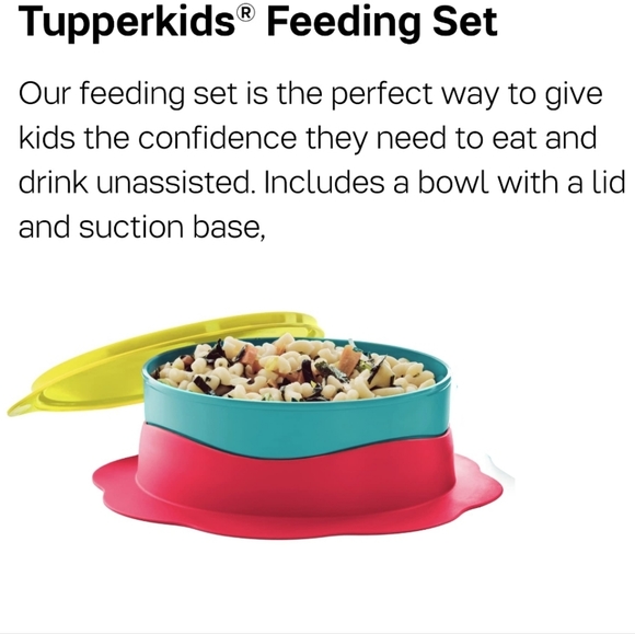 Tupperware Children's Kid's Feeding Dish Bowl w/ Suction Cup Base & Seal Primary - Picture 4 of 16